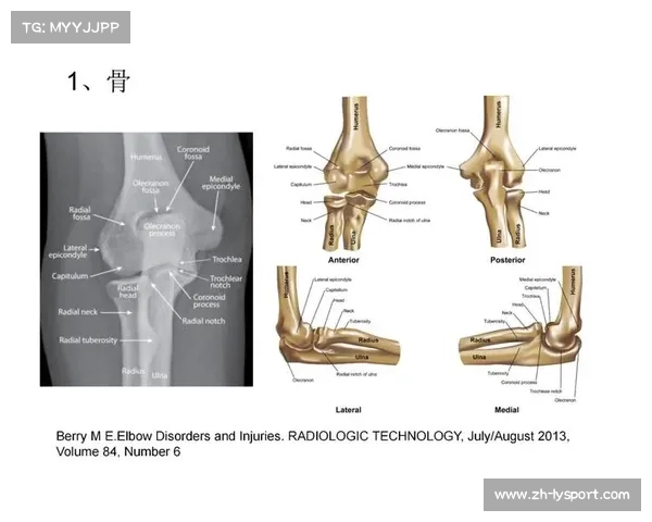 竞走运动步幅与速度关系模型研究成果发布及其生物力学应用分析 竞走运动步幅与速度关系模型研究成果发布及其生物力学应用分析